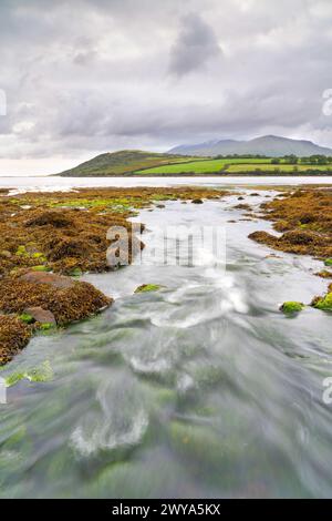 Costa rocciosa dell'estuario di Owenmore a Cloghane, Contea di Kerry, Irlanda Foto Stock