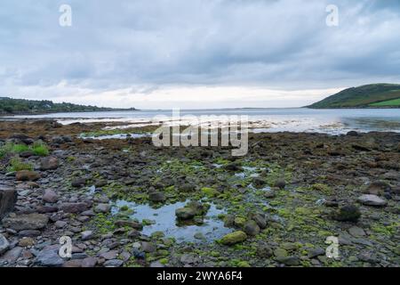 Costa rocciosa dell'estuario di Owenmore a Cloghane, Contea di Kerry, Irlanda Foto Stock