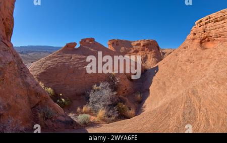 Un'isola rocciosa con una piccola finestra di roccia sulla sua sommità chiamata The Tea Pot Arch a Ferry Swale nell'area ricreativa di Glen Canyon vicino a Page, Arizona, Unite Foto Stock