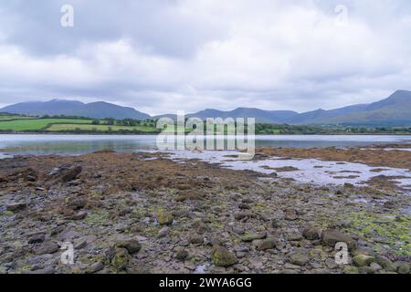 Costa rocciosa dell'estuario di Owenmore a Cloghane, Contea di Kerry, Irlanda Foto Stock