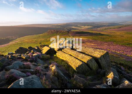 Il sole nascente illumina l'erica e le rocce grintose di Kat-Kat dell'Higger Tor in una mattinata d'estate. Foto Stock