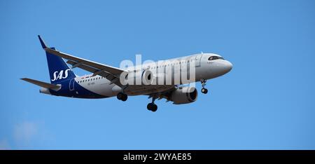 Tenerife, Spagna 31 marzo 2024. Airbus A320-251N SAS Airlines vola nel cielo blu. Atterraggio all'aeroporto di Tenerife Foto Stock