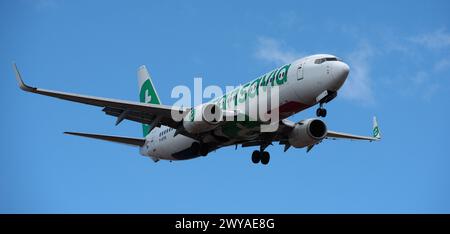 Tenerife, Spagna 31 marzo 2024. Boeing 737-84P TAP Transavia Airlines vola nel cielo blu. Atterraggio all'aeroporto di Tenerife Foto Stock