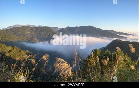 Tramonto su un mare di nuvole nel Parco Nazionale di Alishan Foto Stock