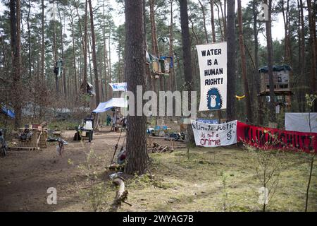 5 aprile 2024, Brandeburgo, Grünheide: Vista del campo dell'iniziativa "Stop Tesla" in una pineta vicino alla Gigafactory Tesla Berlino-Brandeburgo. Gli attivisti del campo di protesta contro l'espansione Tesla a Grünheide si stanno preparando per un'occupazione più lunga della foresta. Foto: Sebastian Christoph Gollnow/dpa Foto Stock