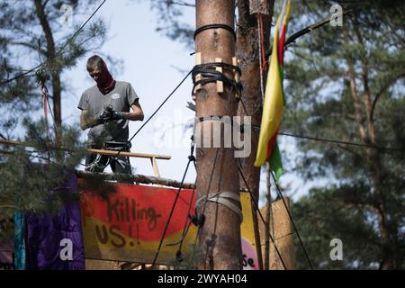 5 aprile 2024, Brandeburgo, Grünheide: Un attivista costruisce una casa sull'albero nel campo dell'iniziativa "Stop Tesla" in una pineta vicino alla Gigafactory Tesla Berlino-Brandeburgo. Gli attivisti del campo di protesta contro l'espansione Tesla a Grünheide si stanno preparando per un'occupazione più lunga della foresta. Foto: Sebastian Christoph Gollnow/dpa Foto Stock