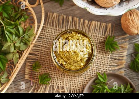 Pesto verde fatto in casa a base di giovani foglie d'alga - pianta commestibile selvatica raccolta all'inizio della primavera, vista dall'alto Foto Stock