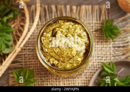 Pesto verde fatto in casa fatto di giovani foglie d'alga - una pianta commestibile selvatica che cresce all'inizio della primavera, vista dall'alto Foto Stock