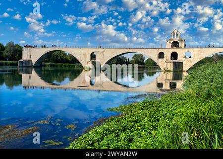 Le Pont Saint Benezet, le Rhône, Avignone, Vaucluse, Provence-Alpes-Côte dAzur, Francia, Europa. Foto Stock