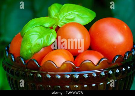 Recipiente in vetro con piccoli pomodori rossi coltivati biologici e foglie di basilico all'aperto in giardino. Foto Stock