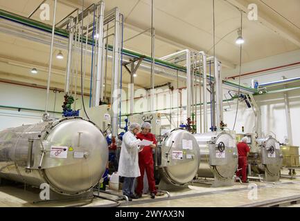 Sterilizzazione in autoclave in contenitori ermeticamente sigillati con il metodo Appert, Appertization, linea di produzione di conserve di verdure e fagioli, industria conserviera, Agri-food, Gutarra, Grupo Riberebro, Villafranca, Navarra, Spagna. Foto Stock