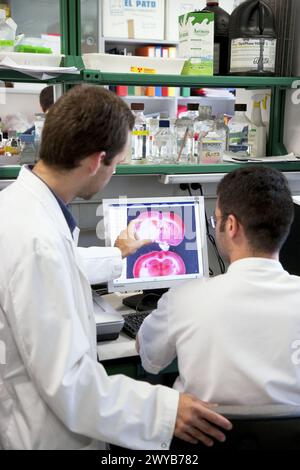 Dipartimento di Ischemia cerebrale e neurodegenerazione, IIBB - Istituto per la ricerca biomedica di Barcellona, CSIC - Consejo Superior de Investigacion Cientifica (Consiglio Nazionale spagnolo delle ricerche), Barcellona, Catalogna, Spagna. Foto Stock