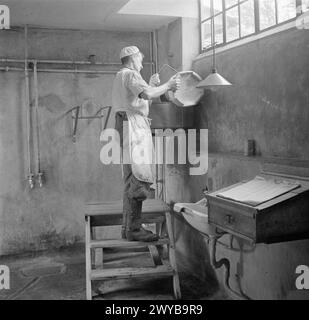 PARSONAGE FARM: CASEIFICIO A DEVON, INGHILTERRA, 1942 - Un "uomo di vacca" o un lavoratore di latte raffredda il latte presso la Old Parsonage Farm, Dartington. Versa il latte in un contenitore da cui fluisce attraverso i tubi verso il refrigeratore. , Foto Stock