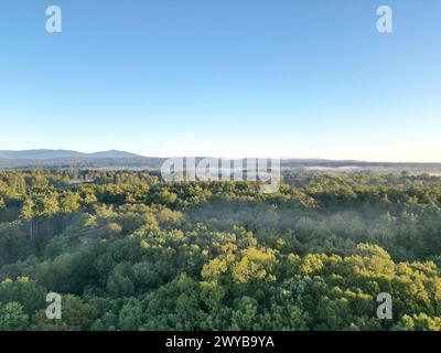 vista aerea delle lontane montagne nebbiose di catskills all'alba (ora d'oro, tramonto) con nebbia tra gli alberi in una giornata limpida con cielo blu Foto Stock