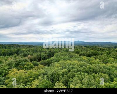 vista aerea delle lontane montagne nebbiose di catskills all'alba (ora d'oro, tramonto) con nebbia tra gli alberi in una giornata limpida con cielo blu Foto Stock