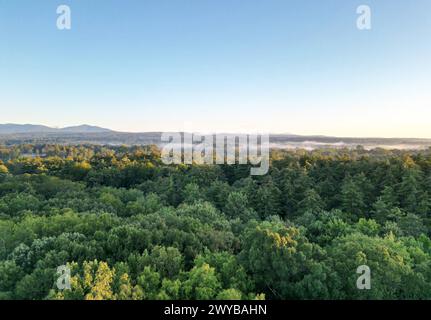 vista aerea delle lontane montagne nebbiose di catskills all'alba (ora d'oro, tramonto) con nebbia tra gli alberi in una giornata limpida con cielo blu Foto Stock