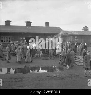 I soldati britannici distribuiscono cibo ai detenuti del campo di concentramento di Bergen-Belsen durante la sua liberazione nell'aprile 1945, dopo la fine del controllo nazista. Foto Stock