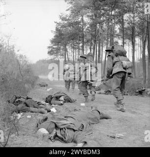 L'ESERCITO BRITANNICO NELL'EUROPA NORDOCCIDENTALE 1944-45 - le truppe dei confini scozzesi del vi re avanzano in guerra lungo una corsia, oltre i corpi dei soldati tedeschi, ad est del Reno, 25 marzo 1945. , British Army, King's Own Scottish Borderers Foto Stock