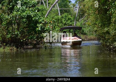 Poovar Thiruvananthapuram, kerala, India - 8 aprile 2024. Crociera in barca attraverso le acque secondarie di Poovar. Sorprendentemente inesplorate, le acque più tranquille. Foto Stock