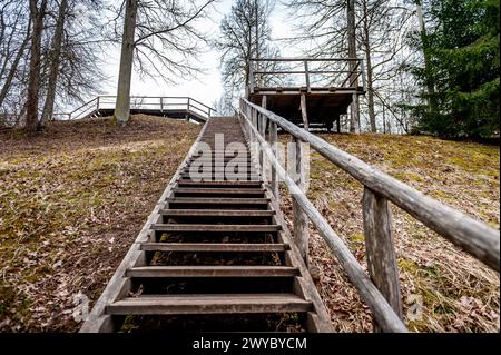 Scala in legno che conduce alla sommità della collina. Parco naturale di Vilce, Lettonia. Foto Stock