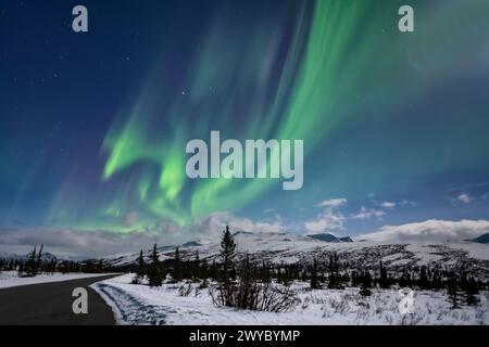 Nord America; Stati Uniti; Alaska; Denali National Park; Taiga-Tundra; inverno; fenomeni naturali; cielo notturno; aurora boreale; aurora boreale; den Foto Stock