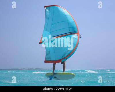 Vista ravvicinata dall'acqua sul surfista con lamina alare, Lac Bay, Bonaire, Paesi Bassi caraibici Foto Stock