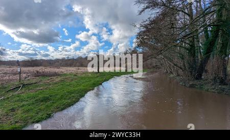 River Wey presso la fattoria Pierrepont, frensham, inondazioni, ponte, prato d'acqua Foto Stock