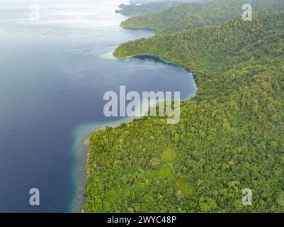 La fitta foresta pluviale copre la costa panoramica di Batanta meridionale, Raja Ampat. Questa regione biodiversificata è conosciuta come il cuore del Triangolo dei Coralli. Foto Stock