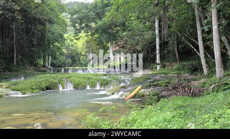 142 Baños del Rio San Juan-San Juan River Baths, serie di piscine naturali di acqua dolce tra piccole cascate, famose per il nuoto. Las Terrazas-Cuba. Foto Stock