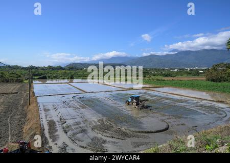 Una pittoresca scena agricola con un trattore che lavora su una risaia allagata sullo sfondo di una montagna Foto Stock