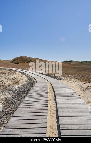 Dune lituane erba sabbiosa e cielo limpido Foto Stock