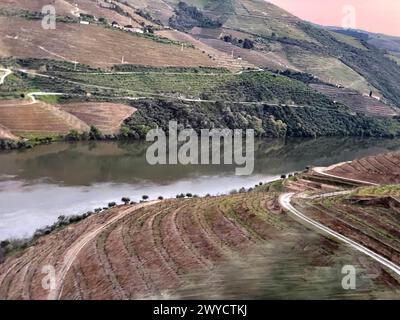 Vista dall'auto lungo il fiume su strada attraverso colline terrazzate con vigneti nella regione vinicola della valle di Duoro in Portogallo, Europa. Foto Stock