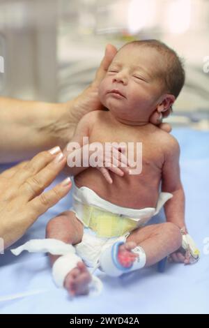 Neonati, unità di terapia intensiva neonatale, ospedale Donostia, San Sebastian, Donostia, Gipuzkoa, paesi Baschi, Spagna. Foto Stock