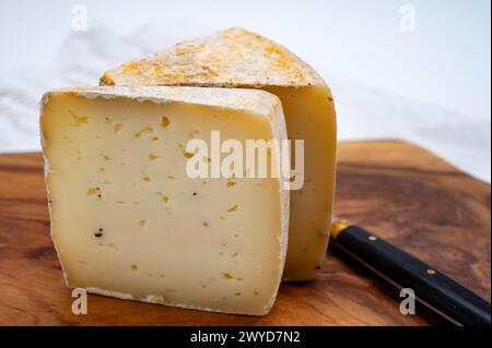 Pezzo di Ciambella Trufilo duro prodotto con tartufo estivo di latte vaccino piemontese nella zona di Langa, Italia Foto Stock