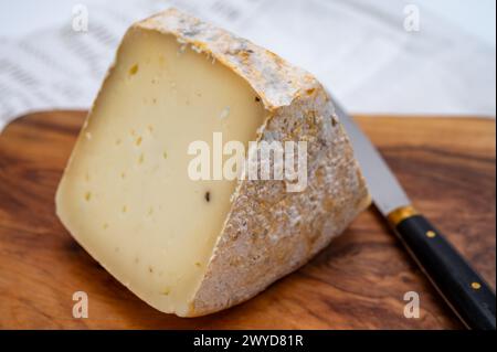 Pezzo di Ciambella Trufilo duro prodotto con tartufo estivo di latte vaccino piemontese nella zona di Langa, Italia Foto Stock