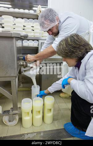 Raccolta di campioni di siero di latte del progetto europeo «Valorlact» per l'uso del siero di latte prodotto in caseifici allevamento di pecore Gomiztegi Baserria, Arantzazu, Oñati, Gipuzkoa, Paesi Baschi, Spagna. Foto Stock