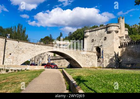 Le Pont Saint Benezet, le Rhône, Avignone, Vaucluse, Provence-Alpes-Côte dAzur, Francia, Europa. Foto Stock