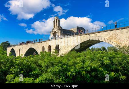 Le Pont Saint Benezet, le Rhône, Avignone, Vaucluse, Provence-Alpes-Côte dAzur, Francia, Europa. Foto Stock