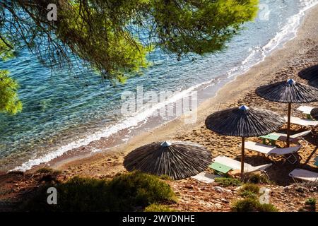 Splendida vista sulla spiaggia di sabbia con freschi aghi verdi di pini a Creta (o Spetses o Satorini o Mykonos o Corfù o Zakkinthos) - una fantastica ricostruzione Foto Stock