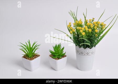 Set di piante artificiali in vasi isolati su sfondo bianco. Decorazione degli interni Foto Stock