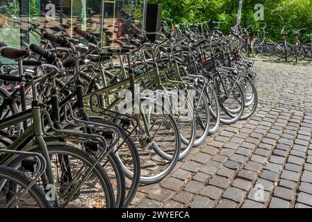 Dettaglio di molte biciclette in Amsterdam Paesi Bassi Foto Stock