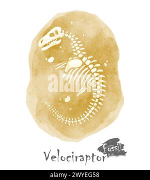 Fossile del dinosauro Velociraptor nella roccia . Disegno della vernice ad acquerello . Vettore . Illustrazione Vettoriale