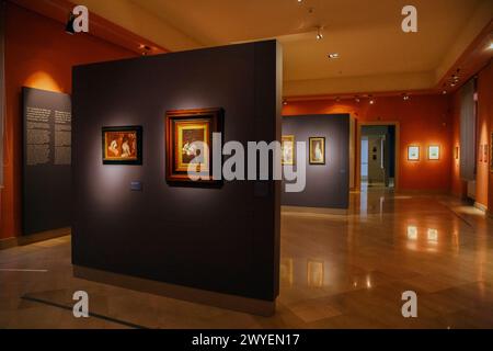 Italia Puglia Barletta Palazzo della Marra :Galleria Museuma Giuseppe de Nittis: Sale del Museo Foto Stock