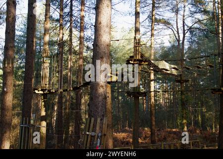 Go Ape Adventure Rope Assault Course con Rope Bridges, altalene, piattaforme costruite nella foresta di Moors Valley nel Regno Unito Foto Stock