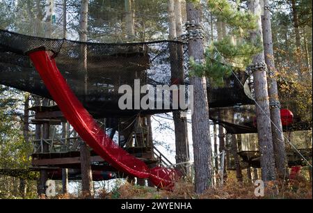 Go Ape Adventure Rope Assault Course con ponti di corda, altalene, piattaforme, reti, reti di sicurezza costruite nella foresta di Moors Valley nel Regno Unito Foto Stock