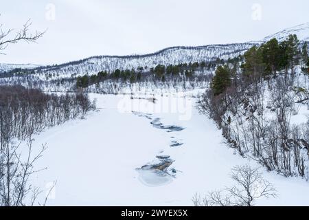 Paesaggio invernale nel Parco Nazionale di Abisko, Abisko, Svezia Foto Stock