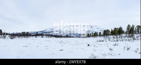 Ampia vista panoramica del paesaggio invernale nel Parco Nazionale di Abisko, Abisko, Svezia Foto Stock