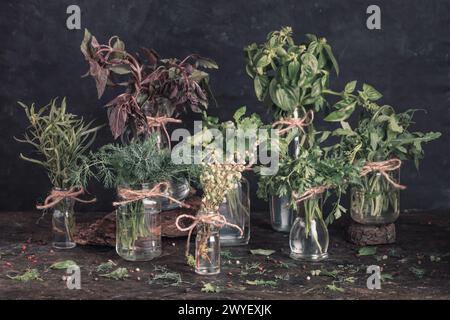 Vasetti con mazzetti di erbe da giardino fresche verdi si trovano sul tavolo su uno sfondo scuro. Cucina ancora vita Foto Stock