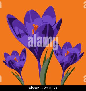 Illustrazione vettoriale dei fiori di cocco. Fiori primaverili. Illustrazione Vettoriale