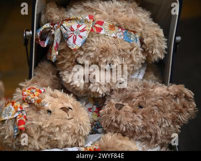 Ritratto degli orsetti del Vermont in un negozio di giocattoli locale a Riquewihr, Alsazia, Francia. Foto Stock